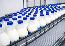 Food-Processing-Panelmart-US-Florida