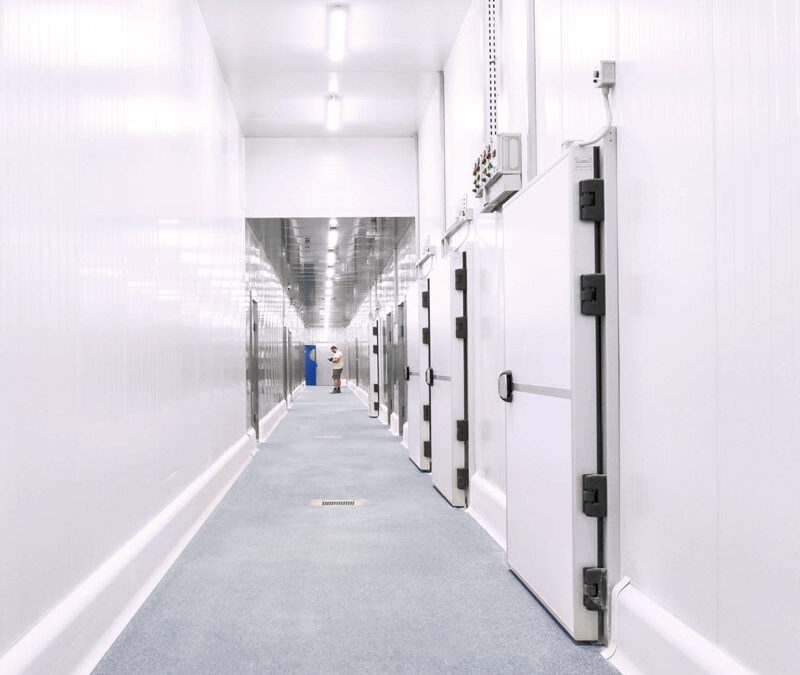 Surviving the Washdown: The Ultimate Sanitary Coving for Food Processing Plants
