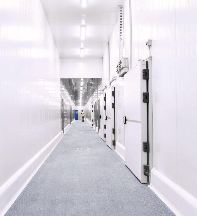 The-Ultimate-Sanitary-Coving-for-Food-Processing-Plants