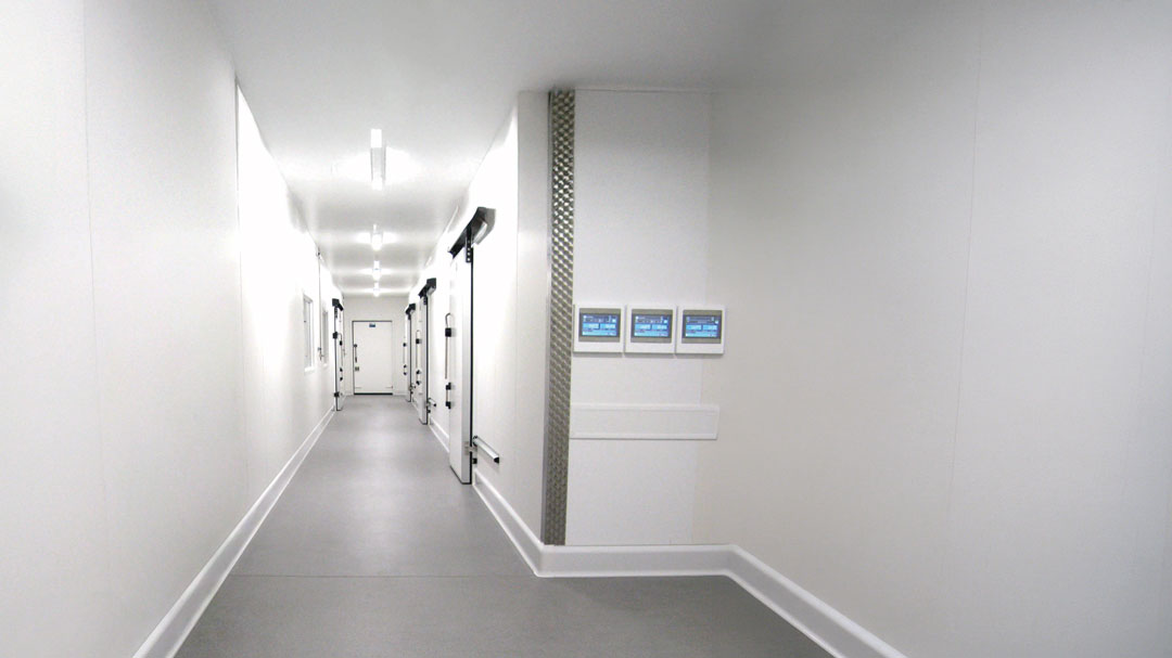 Rigid PVC vs. Quarry Tile Cove Base: The Hidden Danger of Grout Lines